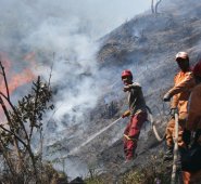 Las autoridades competentes, como bomberos, están listos para actuar en caso de una emergencia. Los lugares boscosos o lotes baldíos, donde abunda la maleza, son más propensos a incendios. Archivo