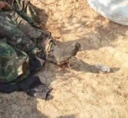 En Táchira hay una fuerte presencia de grupos armados que durante 2019 fueron responsables de más de 800 muertes en la frontera. Archivo