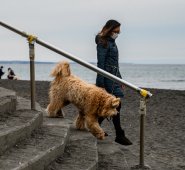 Las autoridades no explicaron las razones para realizar las pruebas en un animal. AFP