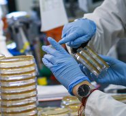 Un investigador clasifica las muestras en un laboratorio que está desarrollando pruebas para el coronavirus COVID-19 en el Centro de Salud Meridional Hackensack para Descubrimiento e Innovación, en Nueva Jersey. AFP
