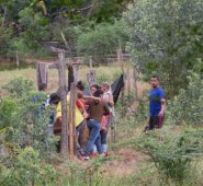 Luis Alfredo Estévez