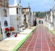 Debido a las medidas preventivas para controlar el contagio por coronavirus, las autoridades municipales ordenaron que el ingreso al cementerio central sea coordinado y solamente cuando sea estrictamente necesario. La Opinión