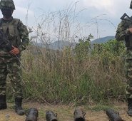 Ejército para La Opinión