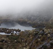 Páramo Santurbán. Archivo La Opinión