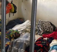 En promedio, las estaciones de Policía de Bogotá tienen una sobre ocupación del 145%. Colprensa