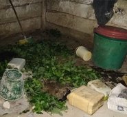 Cortesía La Opinión 