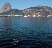 Una tortuga nada en la Bahía de Guanabara Rio de Janeiro (Brasil). Antonio Lacerda - EFE
