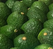 Aguacate hass. Colprensa