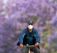 Mensajes difundidos por redes sociales afirman que, incluso su utilización provoca “intoxicación por inhalación del propio CO2”. Colprensa.