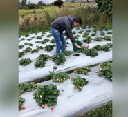 La estrategia consiste en enviar directamente los productos de Chitagá a los consumidores del oriente colombiano. Cortesía