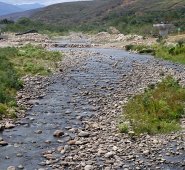 Archivo / La Opinión