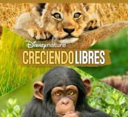 Canales de televisión y plataformas digitales preparan una programación especial que buscan generar conciencia. Colprensa.