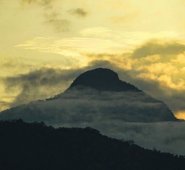 Hubo una reducción del 17 % en la contaminación global por CO2 (dióxido de carbono).  Colprensa.