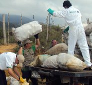 Las comercializadoras no cumplieron con el registro de precios de venta que solicita el Ministerio de Agricultura, un mecanismo para controlar que no haya abusos en el mercado. Archivo La Opinión