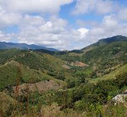 Restitución de tierras. Archivo / La Opinión