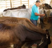 Archivo / La Opinión