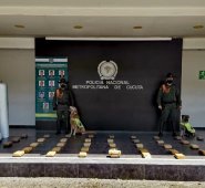 Dos canes detectaron la droga camuflada en tres cajas. Policía Nacional