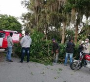 Labriegos de la Playa de Belén bloquearon vías y reclaman soluciones a la carencia de agua. Cortesía