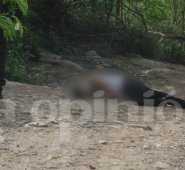 El hombre, quien no portaba documentos estaba vestido con franelilla blanca, bluyín, tenis negros y llevaba un reloj con correa blanca. La Opinión