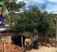 En esta humilde vivienda en la manzana 7, lote 1 de la invasión Brisas del Nariño ocurrió la muerte violenta del extranjero. Laura Serrano y cortesía