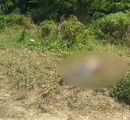 La víctima vestía solo sudadera gris, estaba sin zapatos y sin camisa. Cortesía