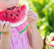 Comida saludable para una buena dieta. Pixabay reference