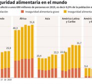 El número de personas que padecen hambre aumentó en 10 millones de personas en un año y en 60 millones en los últimos cinco años.  AFP