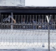 El informe fue entregado por el Instituto Nacional Penitenciario y Carcelario (INPEC). Colprensa