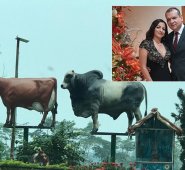 En total fueron 57 inmuebles, entre fincas, lotes, casas, apartamentos y parqueaderos, así como ocho sociedades y establecimientos de comercio, los cubiertos por la extinción de dominio. Brigitte Roció Hernández Sánchez, esposa de Jensy Miranda, aparece al frente de varias sociedades y establecimientos comerciales que les aplicaron la extinción de dominio. Cortesía