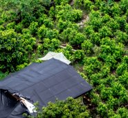 A juicio de la Human, las investigaciones demuestran que los grupos armados informaron a las poblaciones locales que estaban imponiendo reglas para evitar la propagación del Covid-19. Archivo