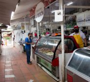 Luis Alfredo Estévez