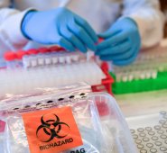 En todas partes del planeta se toman hasta las más inimaginables precauciones en la lucha contra la pandemia. AFP