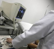 La investigación fue desarrollada por la Universidad Rutgers. Colprensa