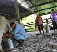 Las familias beneficiadas están en el proceso de postulación de los predios, que deberán cumplir con los requisitos jurídicos para ser comprados por la ANT. Cortesía