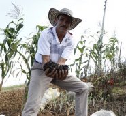 Se enseña a los campesinos a producir orgánicamente. Cortesía