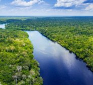 Región del Amazonas. Archivo / La Opinión