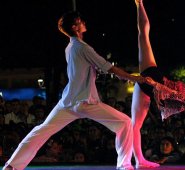 VIII Festival Internacional de Ballet al Parque Virtual. Cortesía