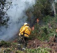 Cortesía- Gobernación Norte de Santander