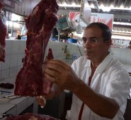 La oenegé sinergia animal le ha pedido al gobierno colombiano que tome medidas para detener la deforestación, el uso irresponsable de antibióticos, la expansión de las granjas industriales y la exportación de animales vivos para consumo. Archivo / La Opinión