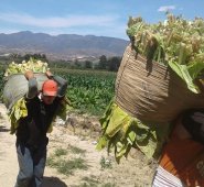 Archivo / La Opinión