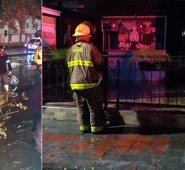 Dos árboles caídos dejaron las lluvias. Cortesía