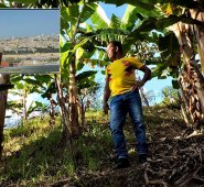 Las características que ofrecen las tierras del departamento serían potenciadas con el proyecto de goteo. Los cafés especiales del departamento tienen potencial de exportación Cortesía