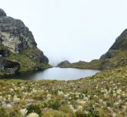 Páramo de Santurbán. Archivo / La Opinión