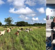 La plataforma tiene un crecimiento del 160% en descargas y una alta aceptación por parte de sus usuarios. Cortesía