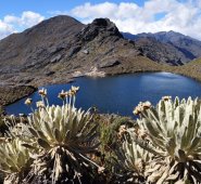 Los congresistas elaborarán un informe sobre la situación del Páramo de Santurbán. Archivo