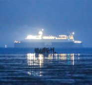 Desde el 1 de enero las autoridades francesas han interceptado a por lo menos 1.317 migrantes que intentaban cruzar el Canal de la Mancha en embarcaciones precarias o a nado, según un recuento de AFP. AFP