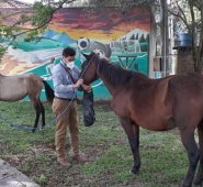 El objetivo principal de estas acciones es evitar accidentes de tránsito. Cortesía