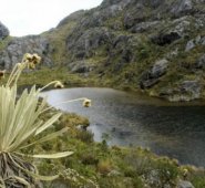 Archivo / La Opinión