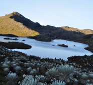 El fin de semana, el ANLA archivó el trámite administrativo para la evaluación de la solicitud elevada por Minesa, para la explotación de oro en Santurbán. Archivo La Opinión