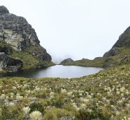 Páramo de Santurbán. Archivo / La Opinión